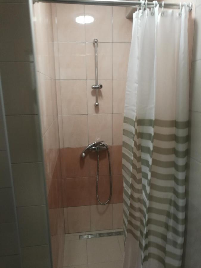 AjdovščinaApartma Burjucaアパートメント エクステリア 写真