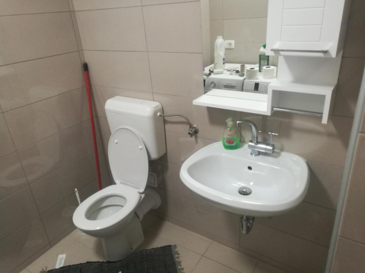 AjdovščinaApartma Burjucaアパートメント エクステリア 写真